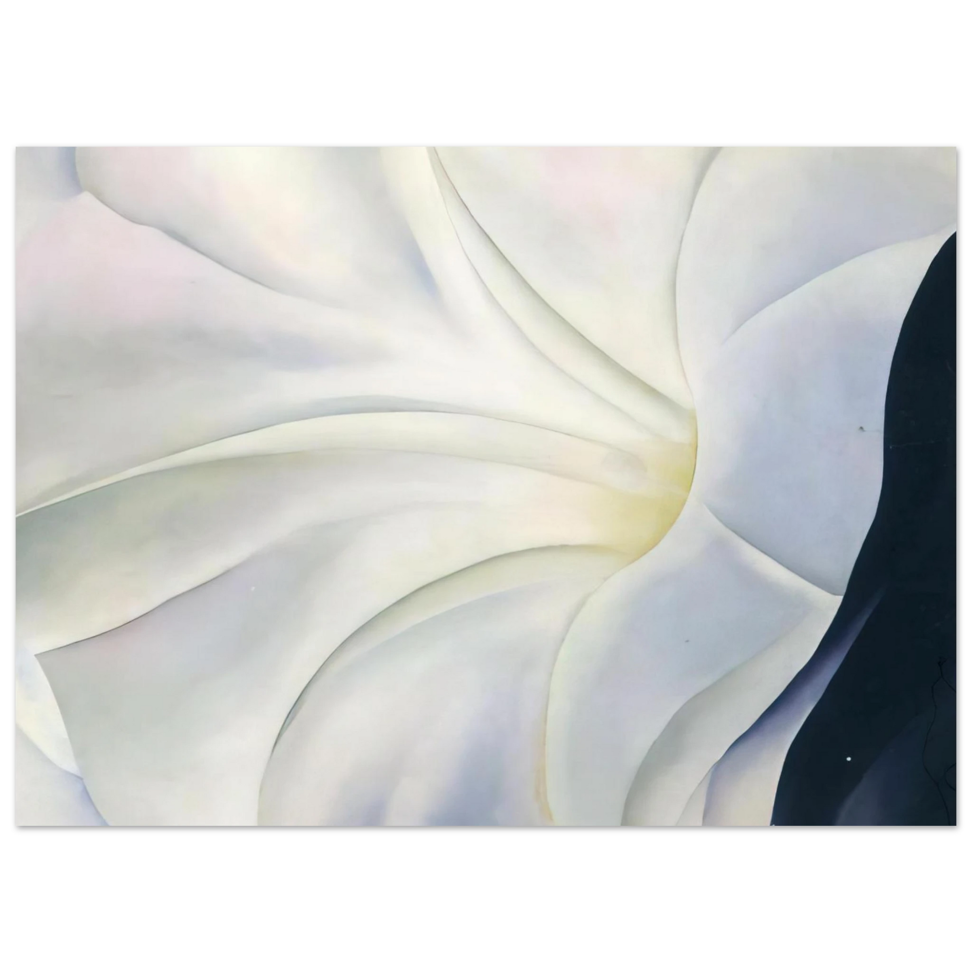 Georgia O'Keeffe - Morning Glory with Black Fine Art Poster - 40x60 cm / 16x24 inches