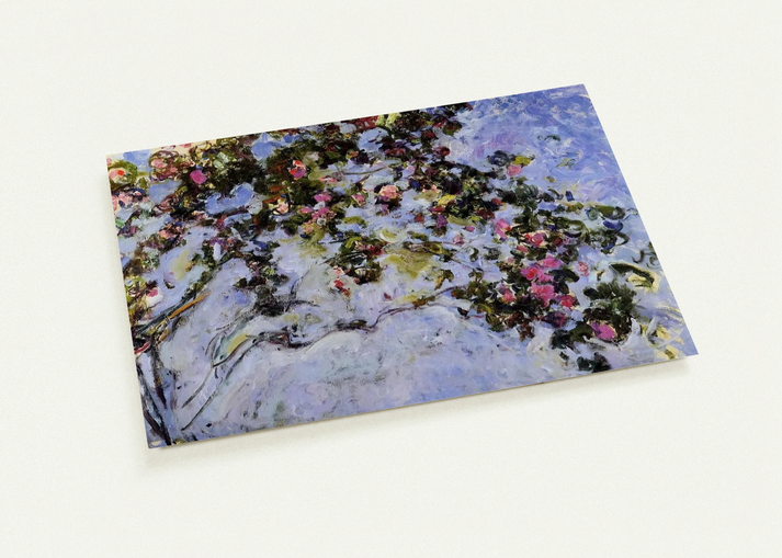 7d0fcd27-f11e-47bd-9742-a55fbb779996