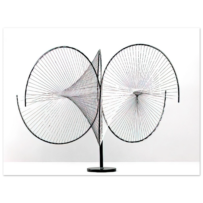 Tomas Maldonado - Hyperbolic surfaces - 1959  75x100 cm / 30x40inches Fine Art Poster