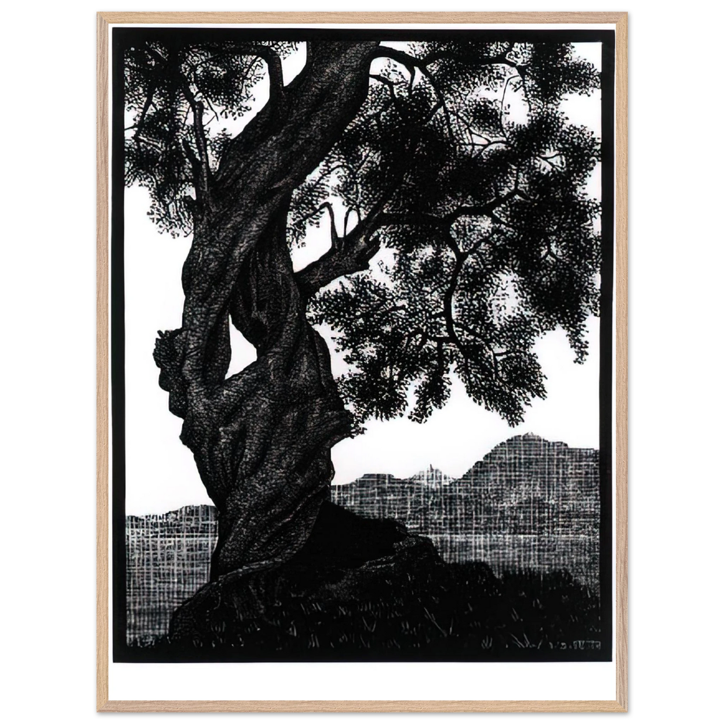 MC Escher - OLD OLIVE TREE CORSICA Wall Art - 30x40 cm / 12x16 inches - Premium Wooden Framed Poster With Fine Art Paper - Wood frame