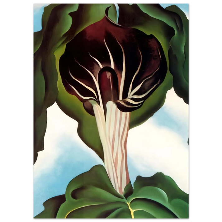 Georgia O'Keeffe - Jack-in-the-Pulpit III Fine Art Poster
