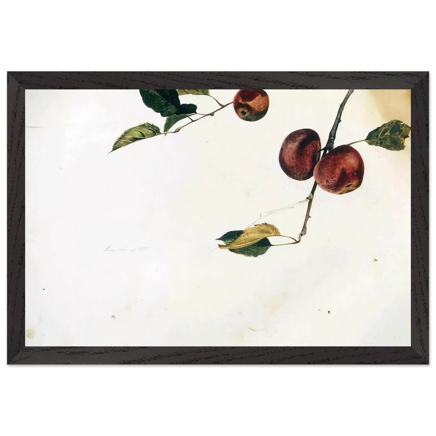 Andrew Wyeth - APPLES ON A BOUGH STUDY BEFORE PICKING Wall Art - 21x29.7 cm / 8x12" - Premium Wooden Framed Poster With Fine Art Paper - Wood frame