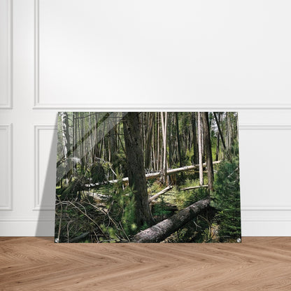 NEAR HUNTERS BEACH ACADIA NATIONAL PARK 2008 - Richard Estes Acrylic Print - 70x100 cm / 28x40″ inches | Richard Estes Wall Art | Richard Estes Prints