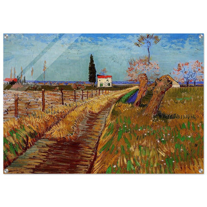 Path Through a Field with Willows - Vincent van Gogh Acrylic Print - 70x100 cm / 28x40″ inches | Vincent van Gogh Wall Art | Vincent van Gogh Prints