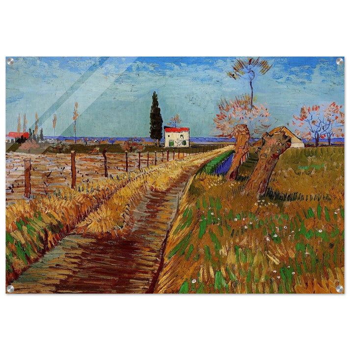 Path Through a Field with Willows - Vincent van Gogh Acrylic Print - 70x100 cm / 28x40″ inches | Vincent van Gogh Wall Art | Vincent van Gogh Prints
