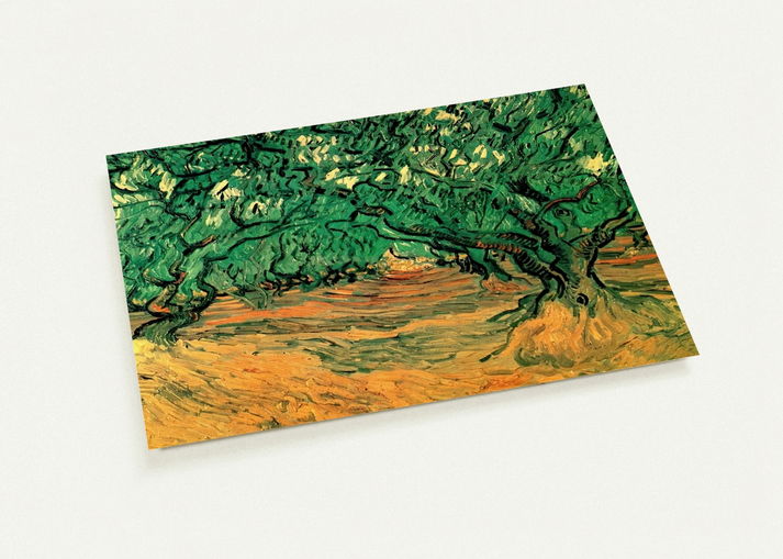Olive Trees By Vincent van Gogh Pack of 10 Post Cards | Vincent van Gogh Post Cards | A6 (10.5 x 14.8 cm) - 4.1 x 5.8 inches
