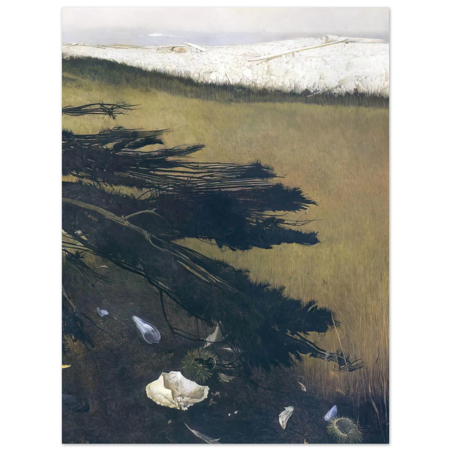 Andrew Wyeth - NOT DETECTED 47 Wall Art - 21x29.7 cm / 8x12" - Fine Art Poster - -