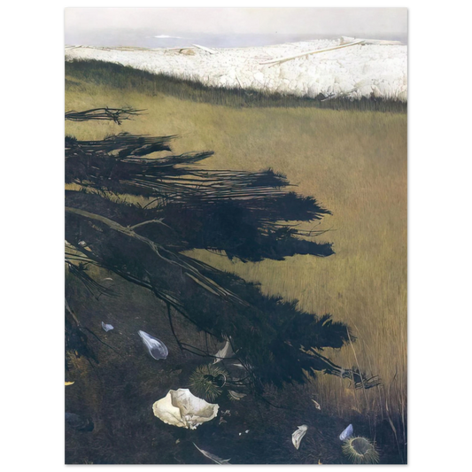 Andrew Wyeth - NOT DETECTED 47 Wall Art - 21x29.7 cm / 8x12" - Fine Art Poster - -