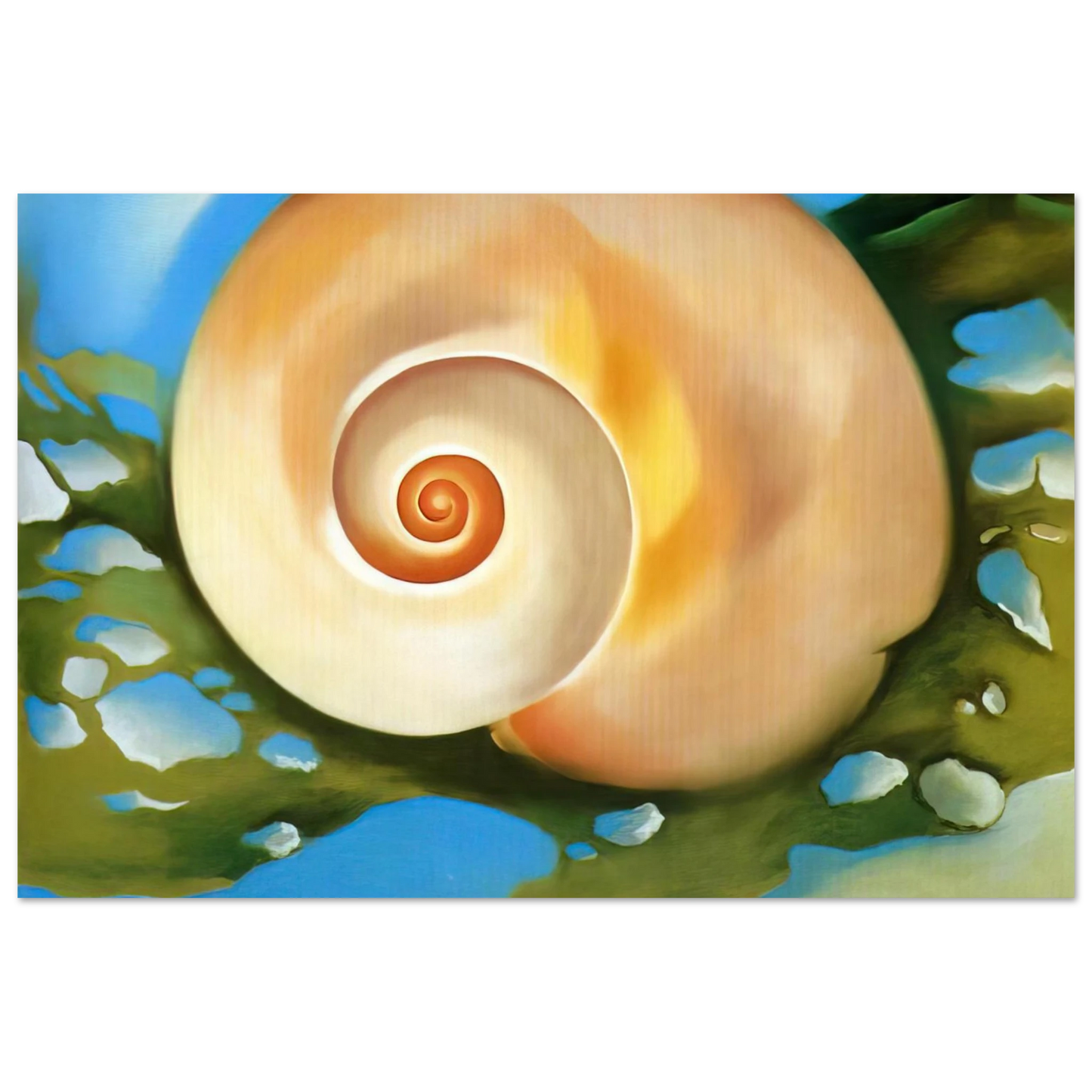 Georgia O'Keeffe - Pink Shell with Seaweed Fine Art Poster - 75x100 cm / 30x40 inches