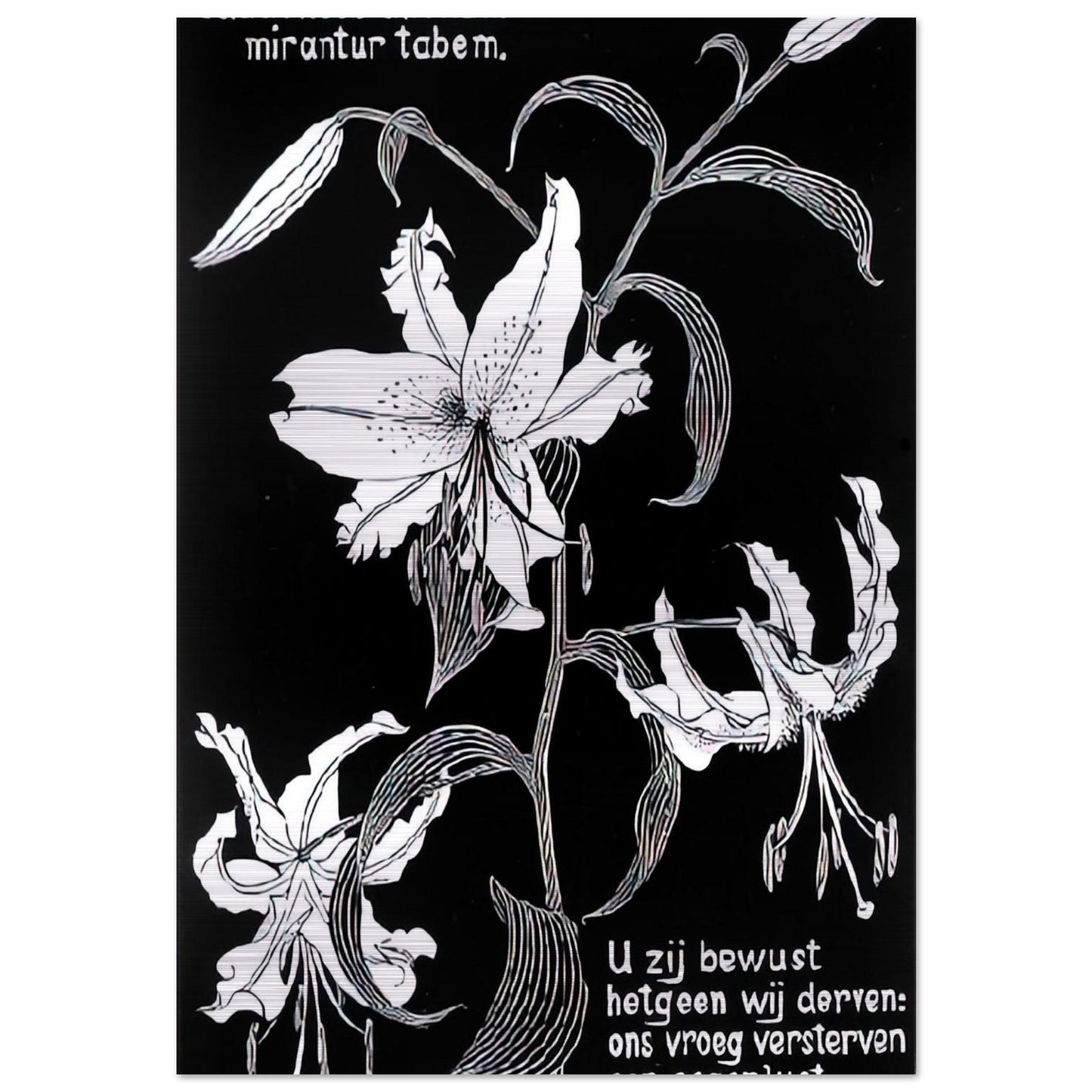 806c878b-127a-4b1b-8cea-7c114deda250