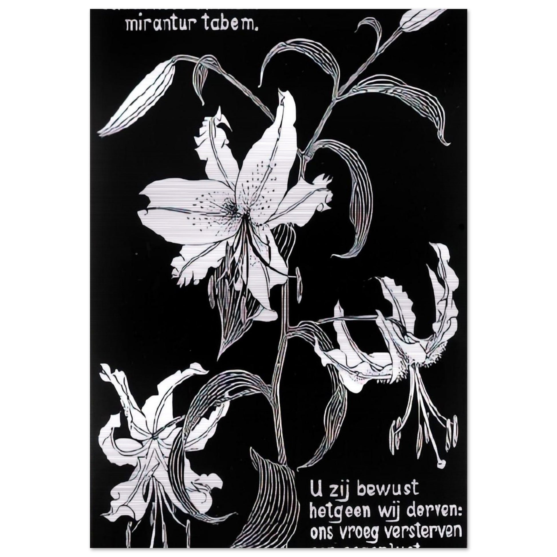 806c878b-127a-4b1b-8cea-7c114deda250