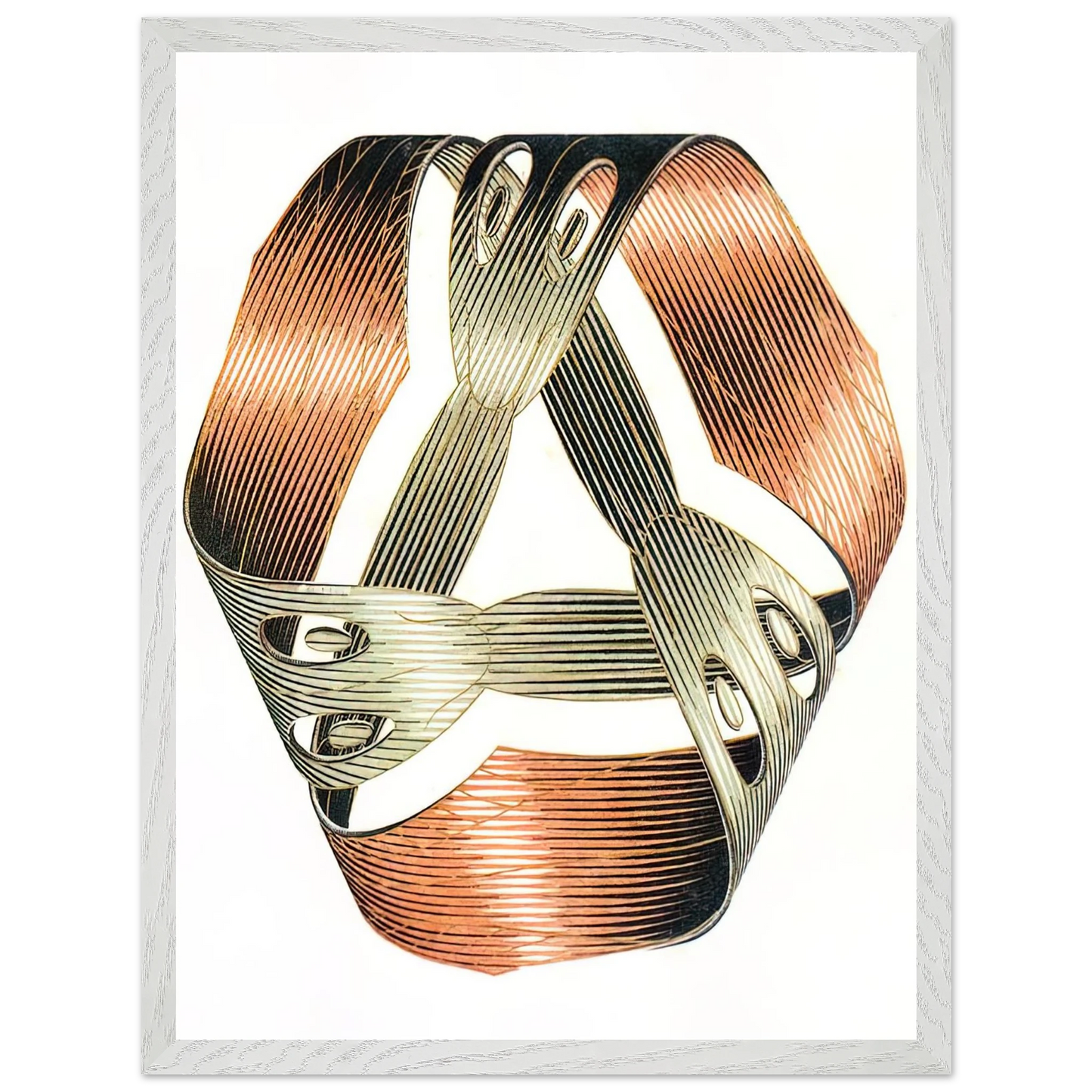 MC Escher - MOEBIUS STRIP I Wall Art - 30x40 cm / 12x16 inches - Premium Wooden Framed Poster With Fine Art Paper - Wood frame