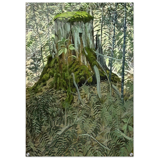 80a5542f-bd4f-4a74-9d3c-d7f7d8b019a7