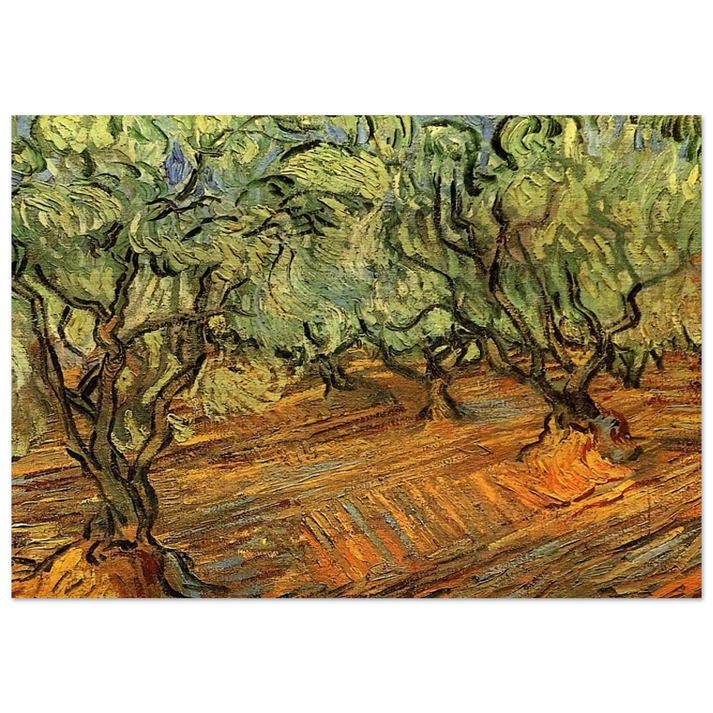 Olive Grove - Bright Blue Sky - Vincent van Gogh Brushed Aluminum Print - 70x100 cm / 28x40 inches | Vincent van Gogh Aluminum Print | Vincent van Gogh Prints