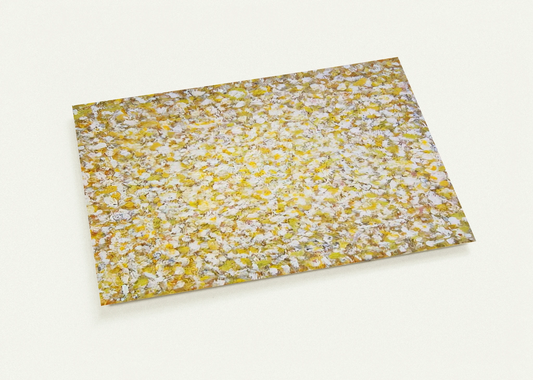 80e08eba-36f8-4b55-aa85-e9a287bb10f1