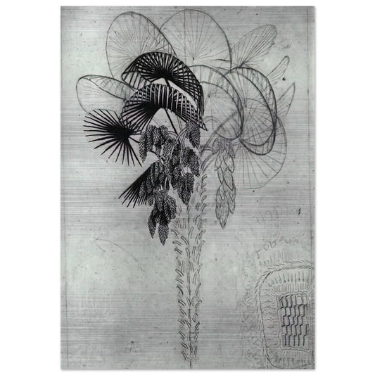 PALM TREE SKETCH - MC Escher Brushed Aluminum Print - 70x100 cm / 28x40 inches | MC Escher Aluminum Print | MC Escher Prints