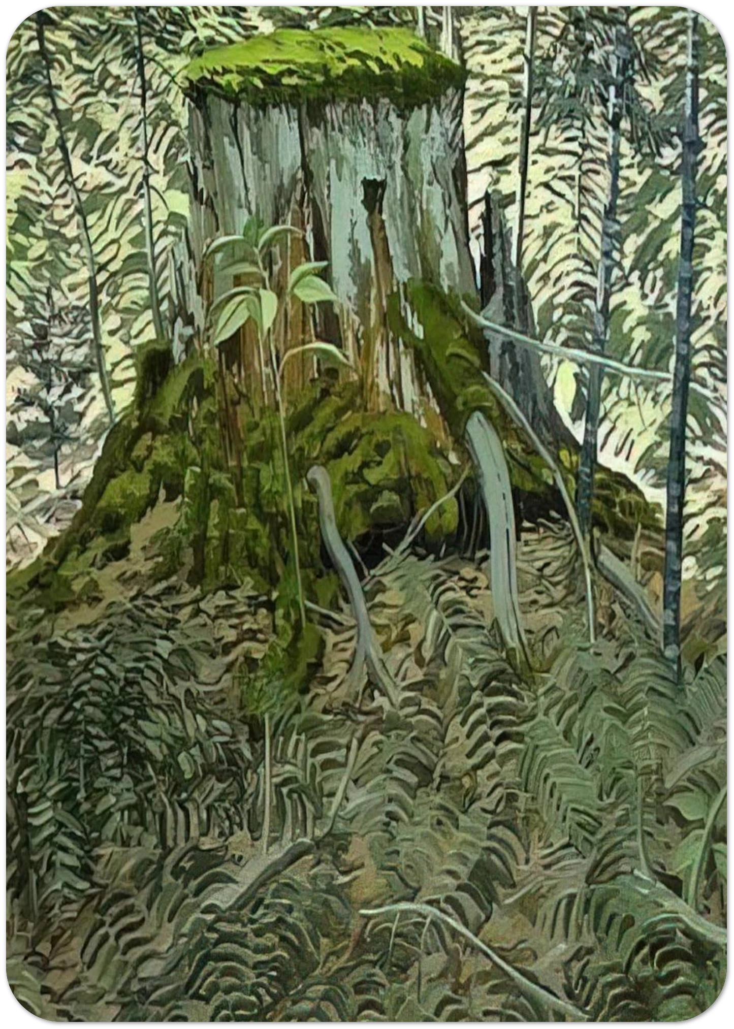 82387893-43a3-462b-9d8a-6b2cf351fe27