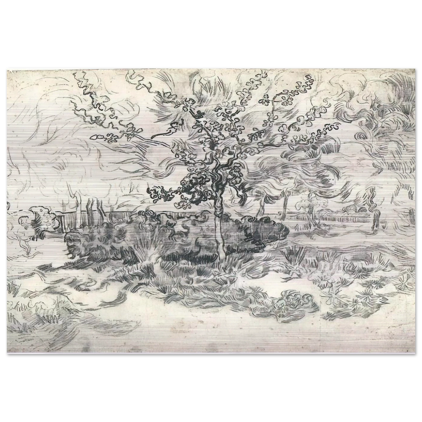 Garden of the Asylum - Vincent van Gogh Brushed Aluminum Print - 70x100 cm / 28x40 inches | Vincent van Gogh Aluminum Print | Vincent van Gogh Prints