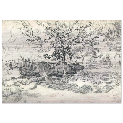 Garden of the Asylum - Vincent van Gogh Brushed Aluminum Print - 70x100 cm / 28x40 inches | Vincent van Gogh Aluminum Print | Vincent van Gogh Prints