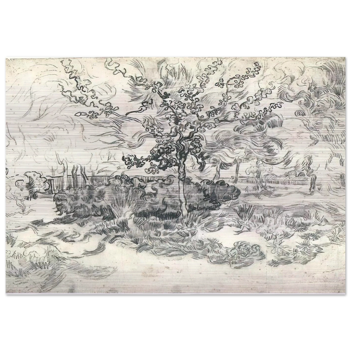 Garden of the Asylum - Vincent van Gogh Brushed Aluminum Print - 70x100 cm / 28x40 inches | Vincent van Gogh Aluminum Print | Vincent van Gogh Prints