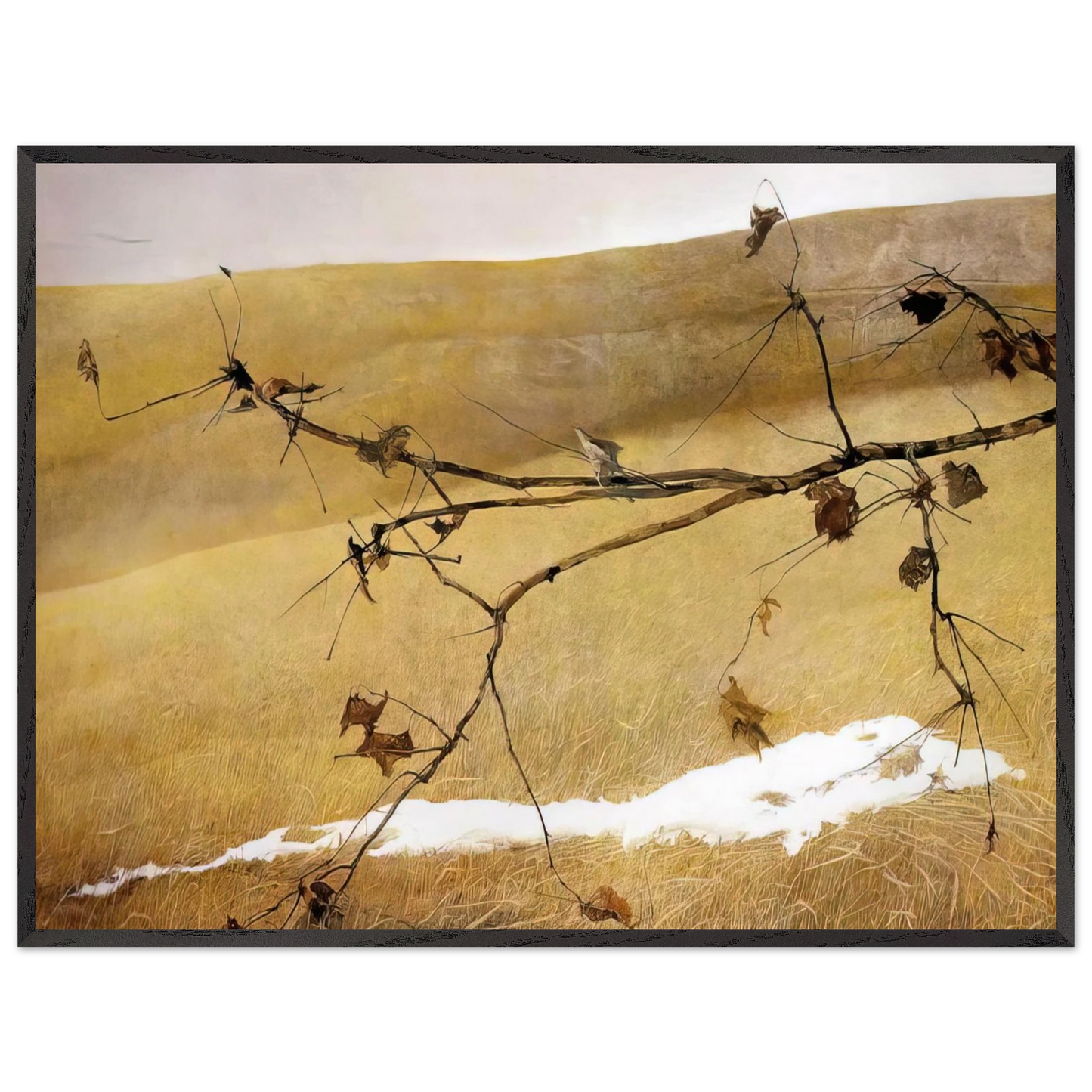 Andrew Wyeth - LONG LIMB Wall Art - 30x40 cm / 12x16 inches - Premium Wooden Framed Poster With Fine Art Paper - White frame