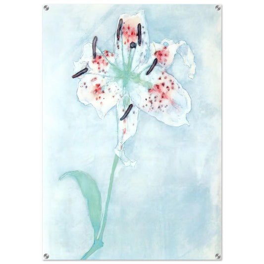 Lily - Piet Mondrian Acrylic Print - 70x100 cm / 28x40″ inches