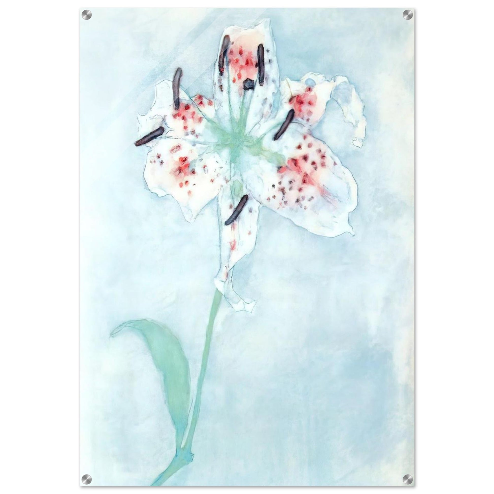 Lily - Piet Mondrian Acrylic Print - 70x100 cm / 28x40″ inches