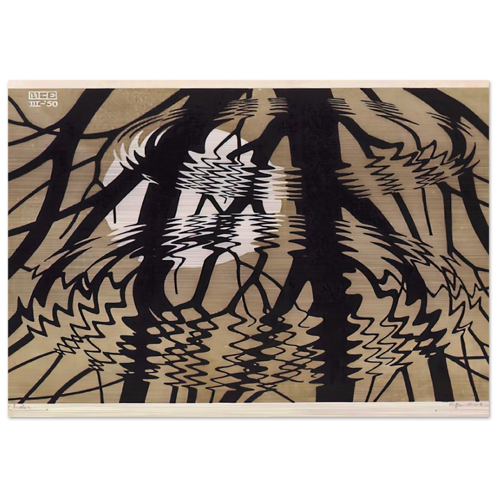 RIPPLED SURFACE COLOUR - MC Escher Brushed Aluminum Print - 70x100 cm / 28x40 inches | MC Escher Aluminum Print | MC Escher Prints