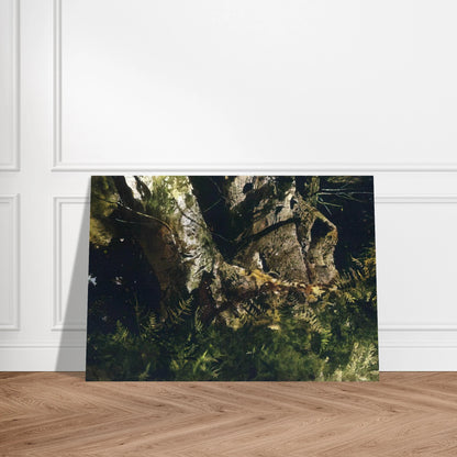 85b67466-0aed-465a-a882-886f732897e1