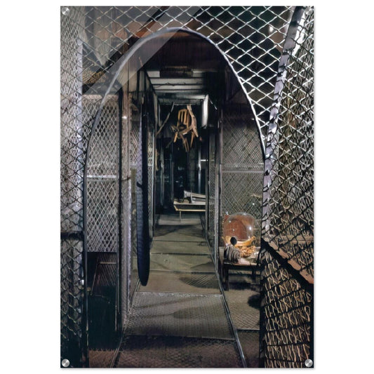DANGEROUS PASSAGE 1997 - Louise Bourgeois Acrylic Print - 70x100 cm / 28x40″ inches | Louise Bourgeois Wall Art | Louise Bourgeois Prints