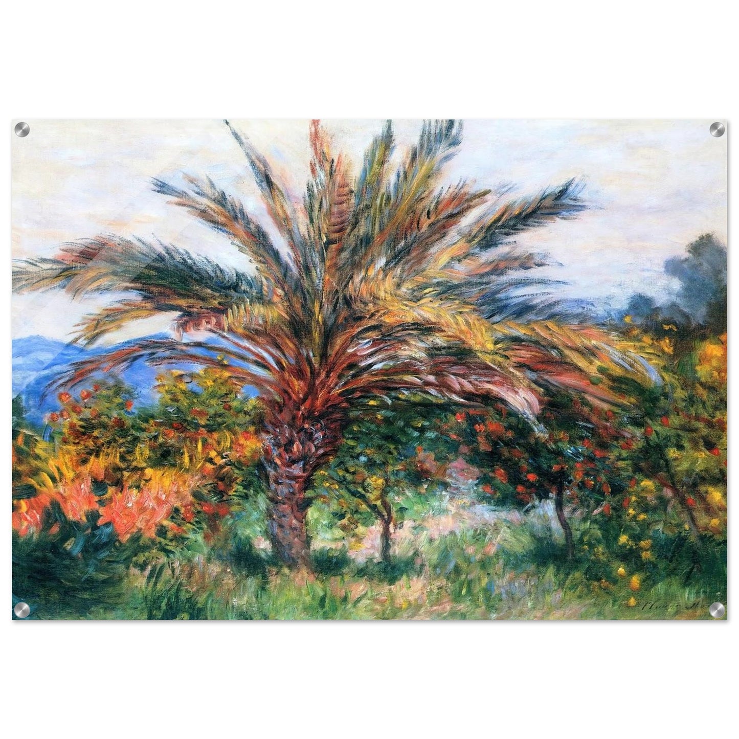 Palm Tree at Bordighera - claude monet Acrylic Print - 70x100 cm / 28x40″ inches | claude monet Wall Art | claude monet Prints