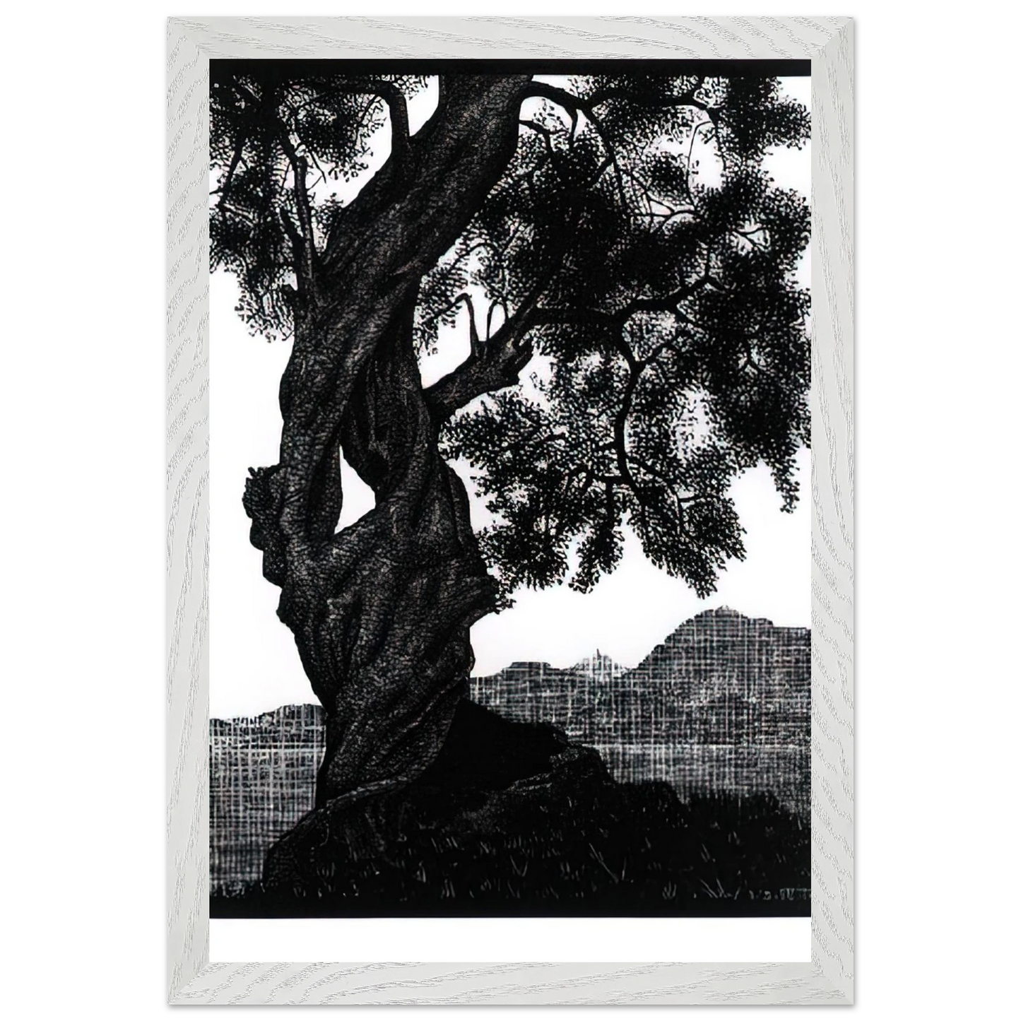 MC Escher - OLD OLIVE TREE CORSICA Wall Art - 21x29.7 cm / 8x12" - Premium Wooden Framed Poster With Fine Art Paper - White frame