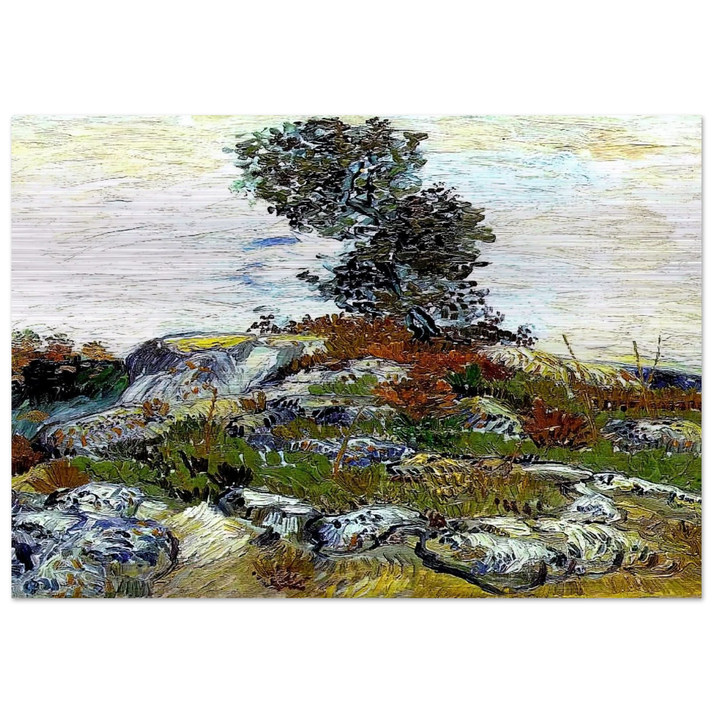 The Rocks with Oak tree - Vincent van Gogh Brushed Aluminum Print - 70x100 cm / 28x40 inches | Vincent van Gogh Aluminum Print | Vincent van Gogh Prints