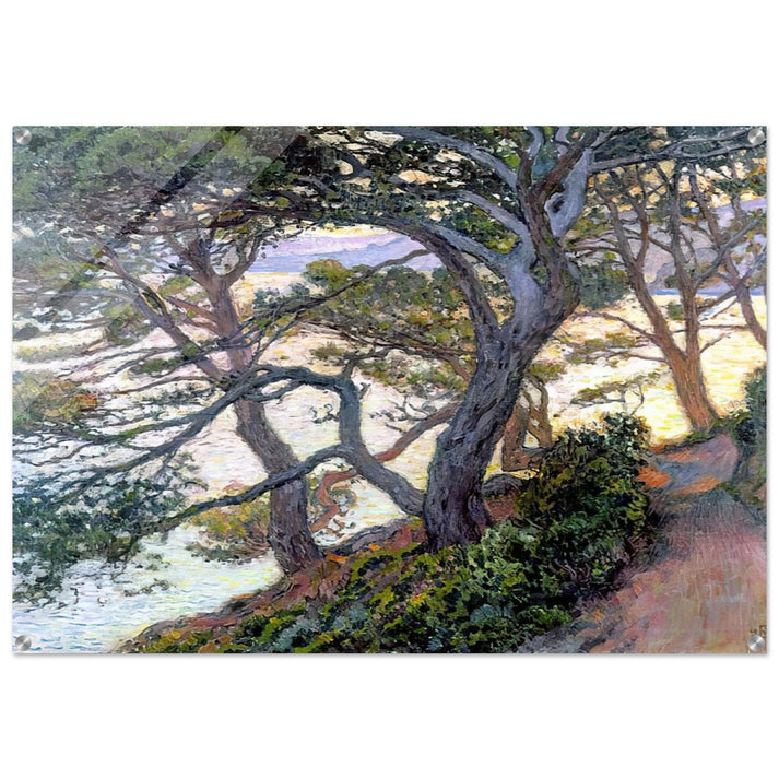 PINES OF RAYOL 1912 - Theo van Rysselberghe Acrylic Print - 70x100 cm / 28x40″ inches