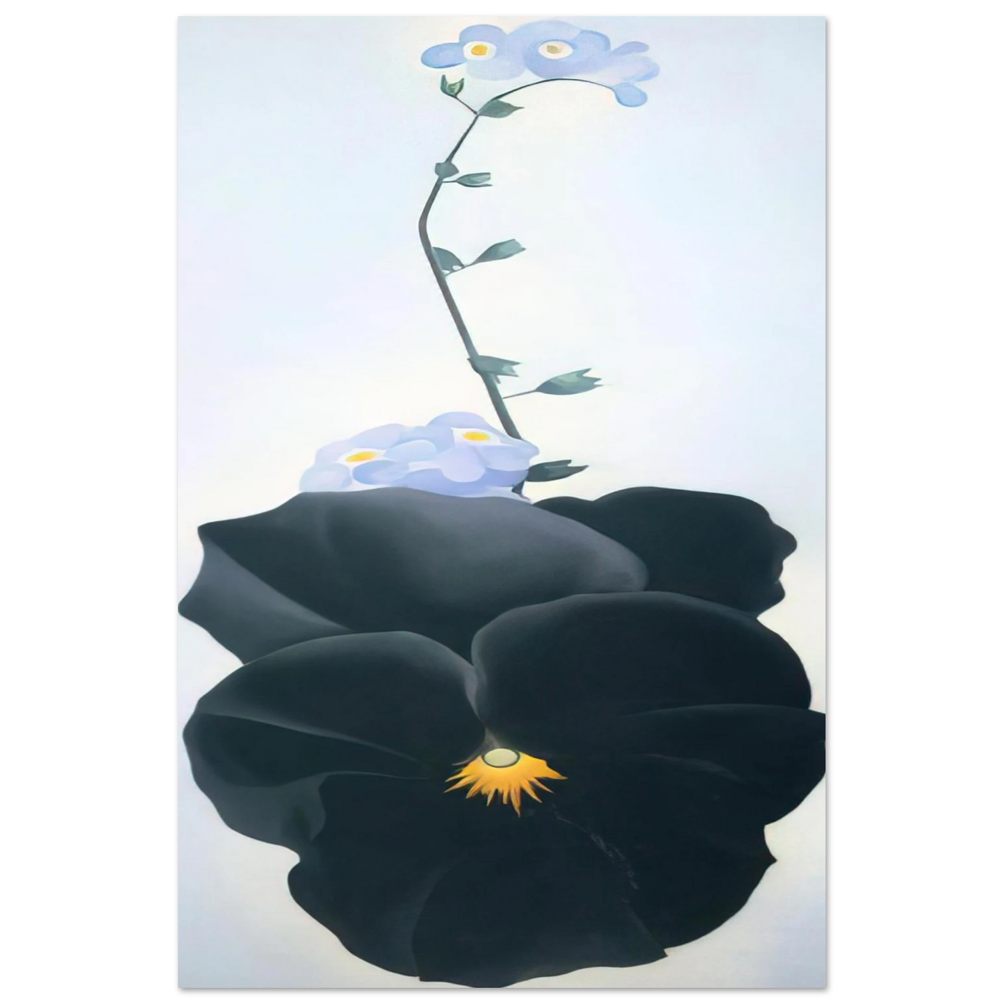 Georgia O'Keeffe - Pansy Fine Art Poster - 40x60 cm / 16x24 inches