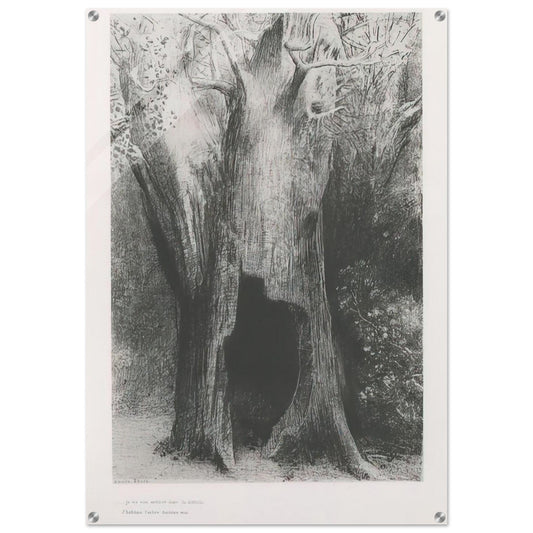 I PLUNGED INTO SOLITUDE I DWELT IN THE TREE BEHIND ME PLATE 9 1896 - Odilon Redon Acrylic Print - 70x100 cm / 28x40″ inches