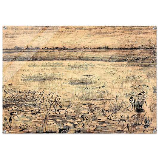Marsh with Water Lillies - Vincent van Gogh Acrylic Print - 70x100 cm / 28x40″ inches