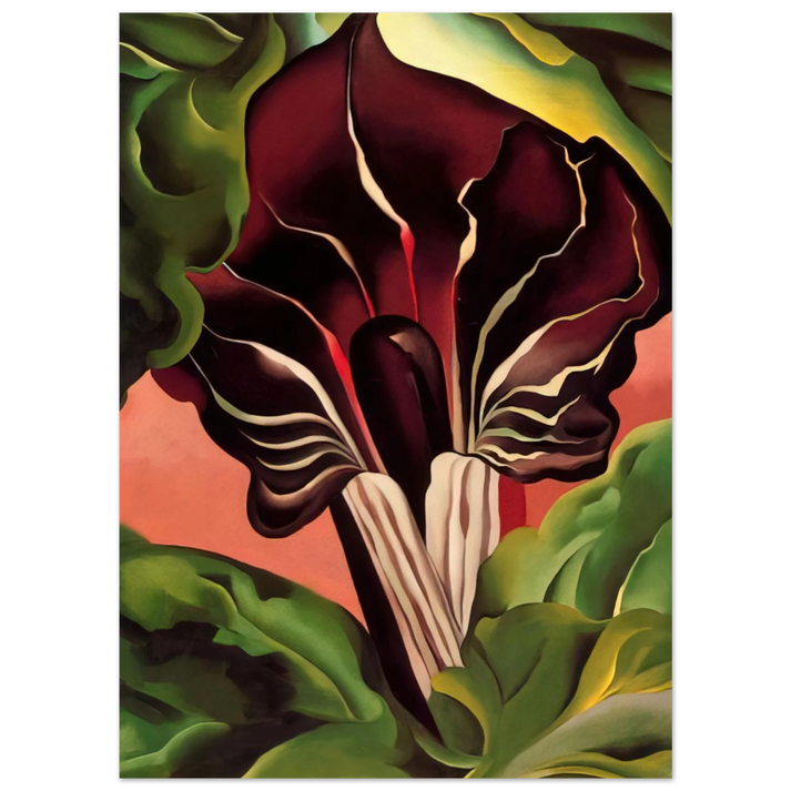 Georgia O'Keeffe - Jack-in-the-Pulpit II Fine Art Poster