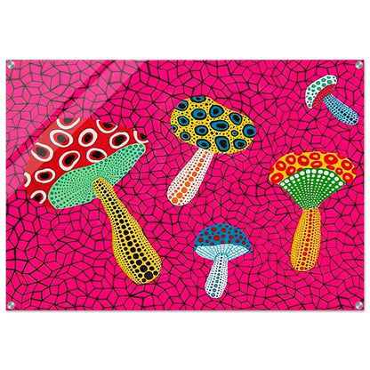 87db1103-234d-4430-9ab4-ca4fe33ec7ed