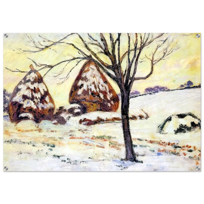 88047ba0-2b13-4c10-9d6d-4ca78ccd8944