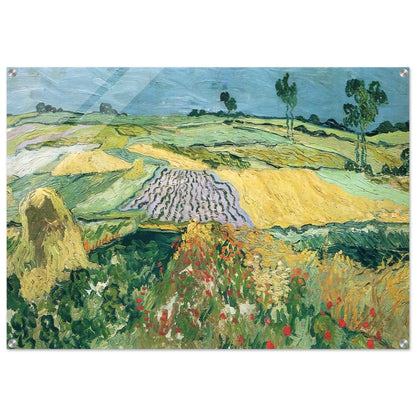 Wheatfields - Vincent van Gogh Acrylic Print - 70x100 cm / 28x40″ inches