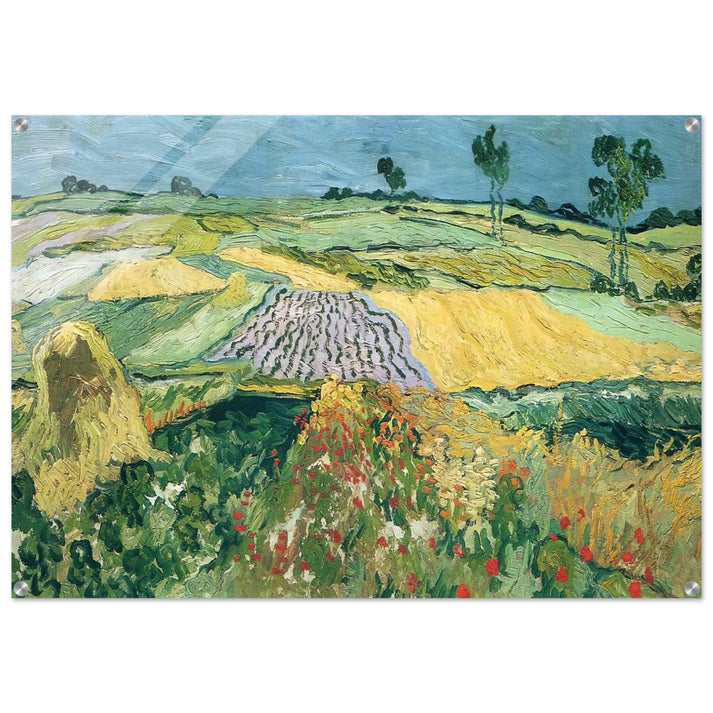 Wheatfields - Vincent van Gogh Acrylic Print - 70x100 cm / 28x40″ inches