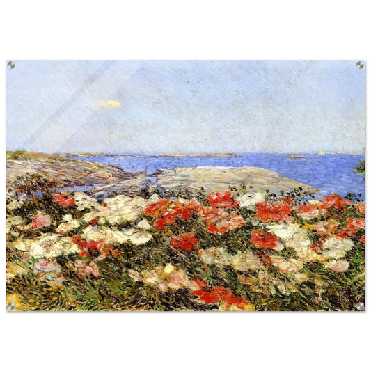 Poppies on the Isles of Shoals - Childe Hassam Acrylic Print - 70x100 cm / 28x40″ inches | Childe Hassam Wall Art | Childe Hassam Prints