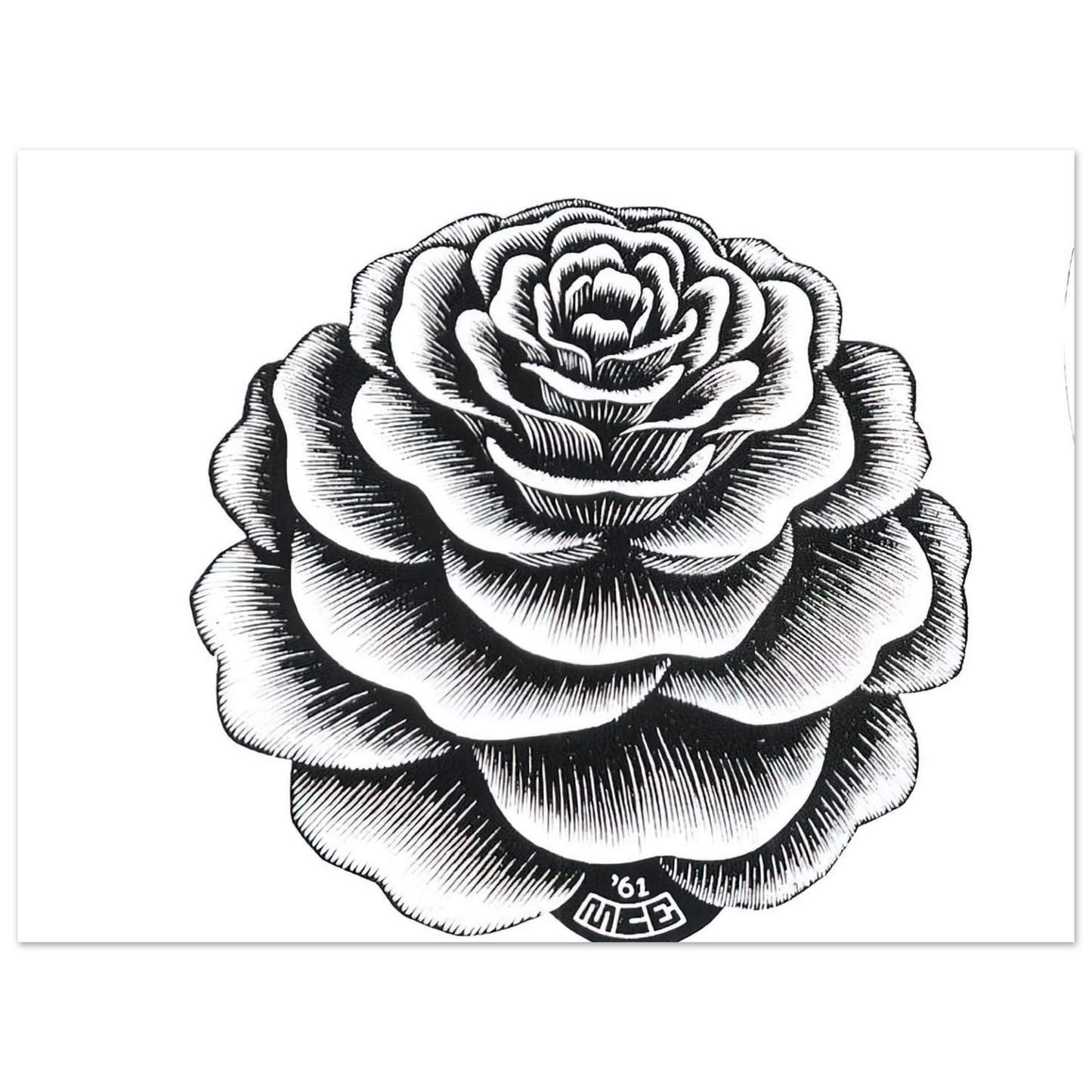 MC Escher - FLOWER 1 Wall Art - 60x80 cm / 24x32 inches - Fine Art Poster - -