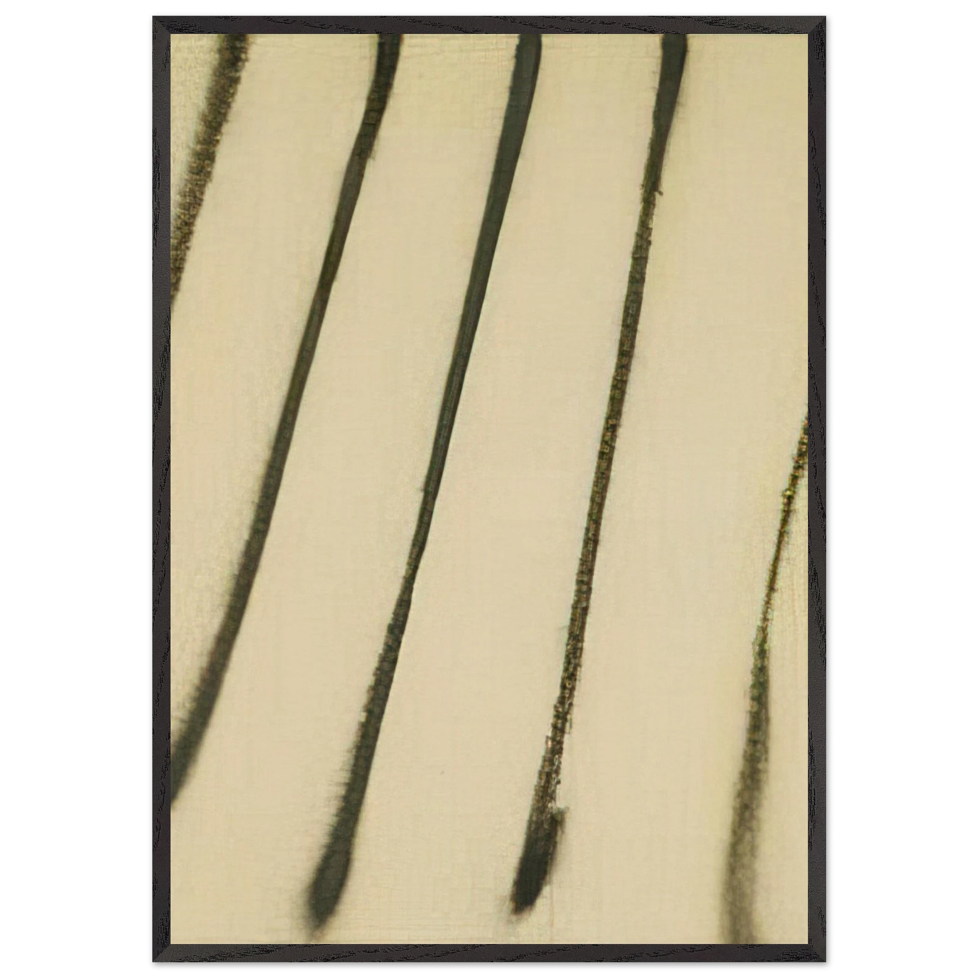 65-s-10 - 1965 - Martin Barre Framed Art Print – Black Wooden Frame - Default Title - -Framed Art Print