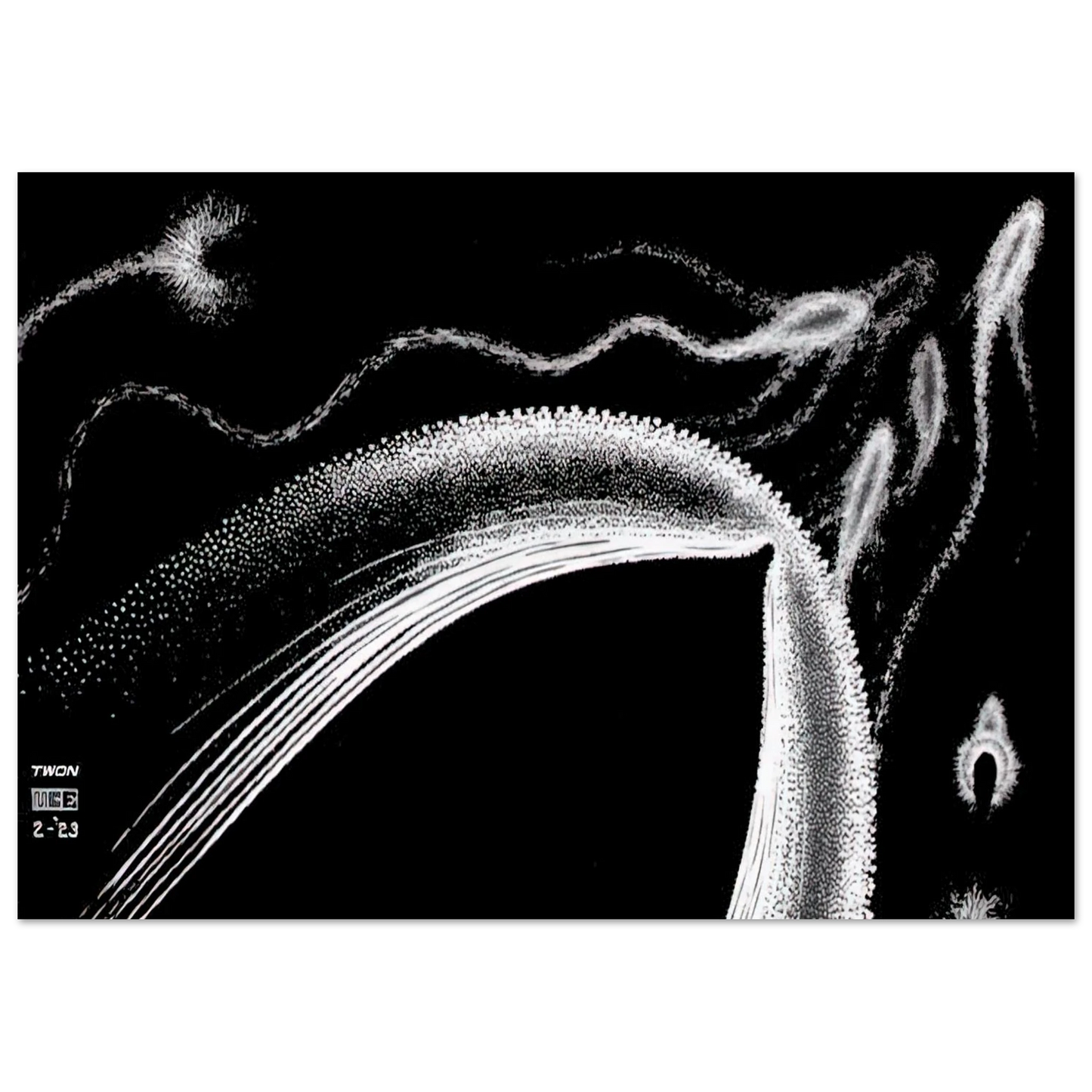 MC Escher - DOLPHINS Wall Art - 30x40 cm / 12x16 inches - Premium Wooden Framed Poster With Fine Art Paper - Wood frame