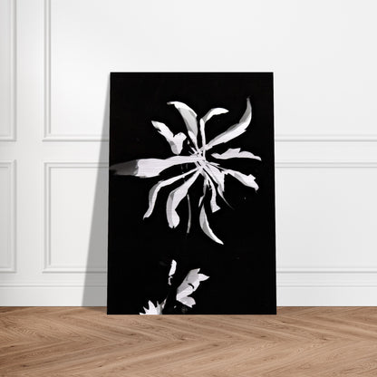 Changing patterns - Laszlo Moholy-Nagy Brushed Aluminum Print - 70x100 cm / 28x40 inches | Laszlo Moholy-Nagy Aluminum Print | Laszlo Moholy-Nagy Prints