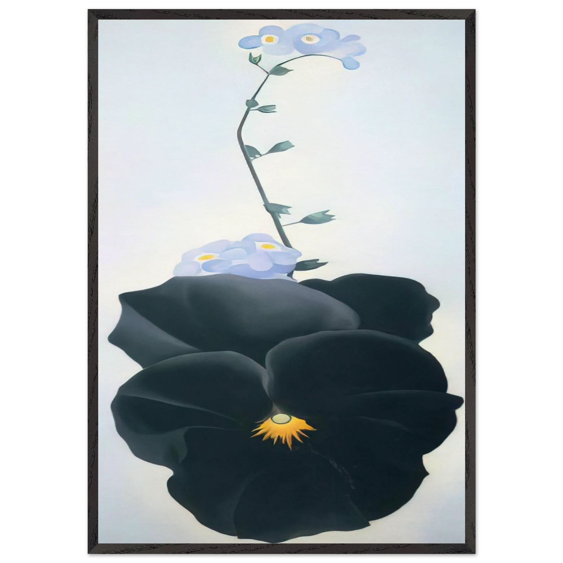 Pansy - Georgia OKeeffe Framed Art Print – Black Wooden Frame - Default Title - -Framed Art Print