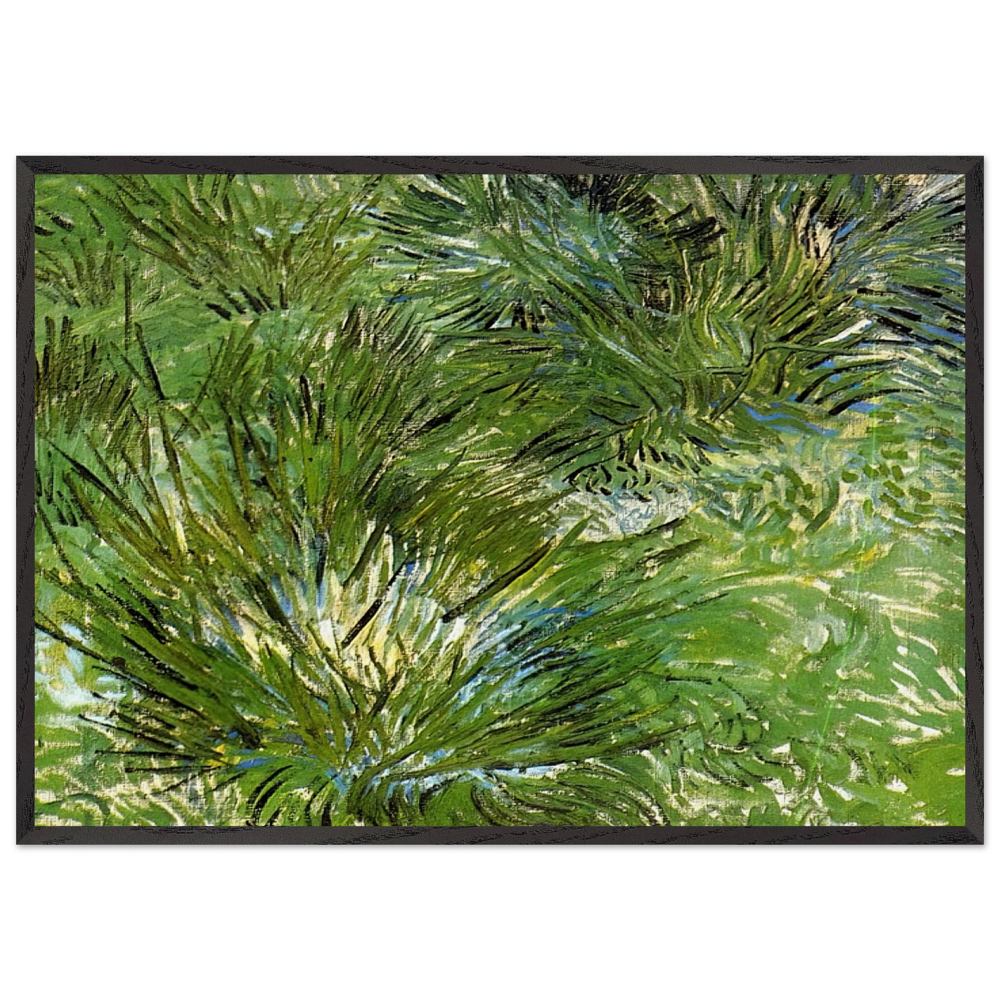 Clumps of Grass - Vincent van Gogh Framed Art Print – Black Wooden Frame - Default Title - -Framed Art Print