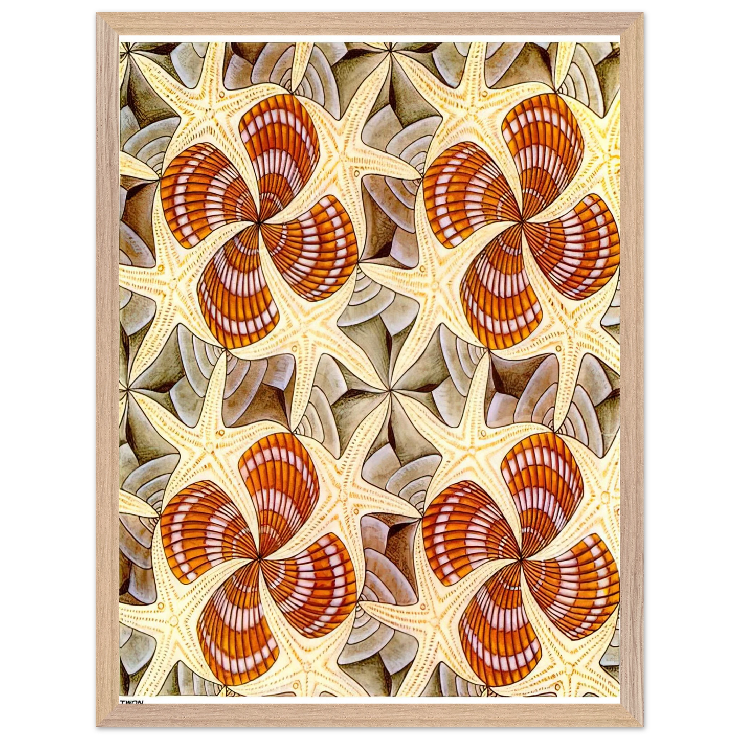 MC Escher - SHELLS AND STARFISH Wall Art - 21x29.7 cm / 8x12" - Premium Wooden Framed Poster With Fine Art Paper - White frame